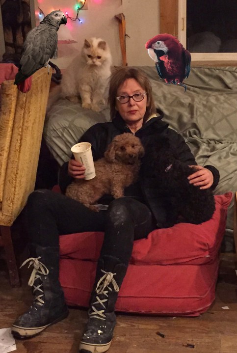 treacyzieglercrittersphoto